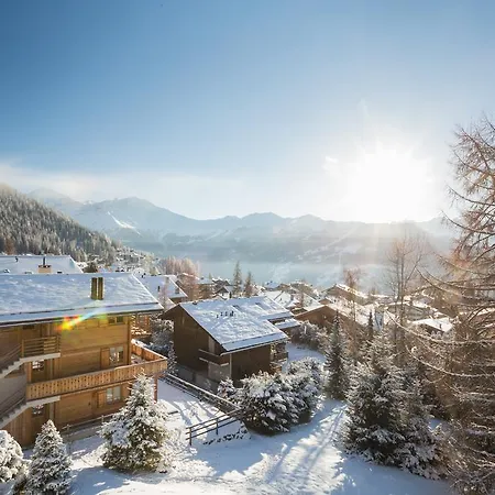 Diure 222 Verbier